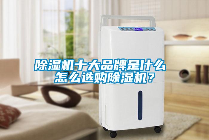 除濕機十大品牌是什么 怎么選購除濕機?