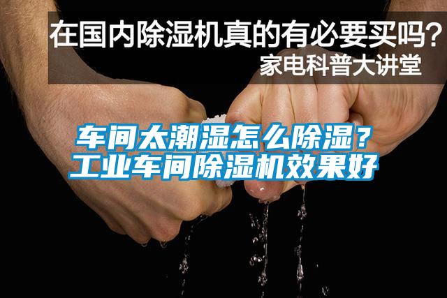 車間太潮濕怎么除濕?工業車間除濕機效果好