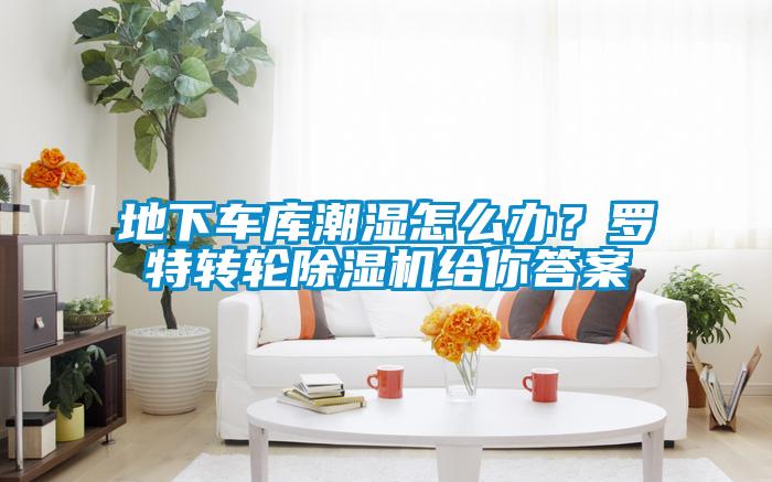 地下車庫潮濕怎么辦？羅特轉輪除濕機給你答案