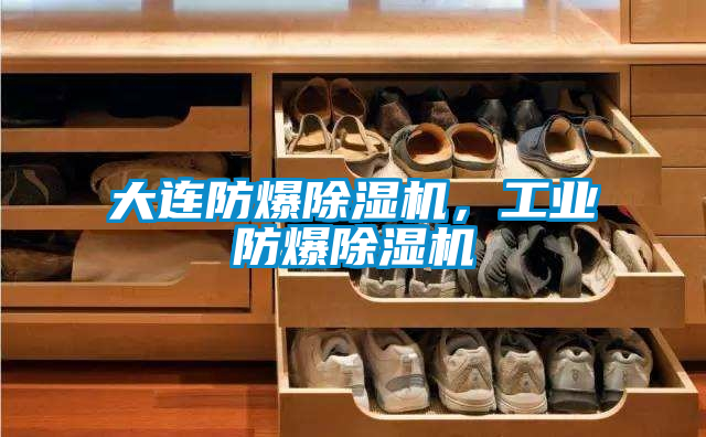 大連防爆除濕機,工業防爆除濕機