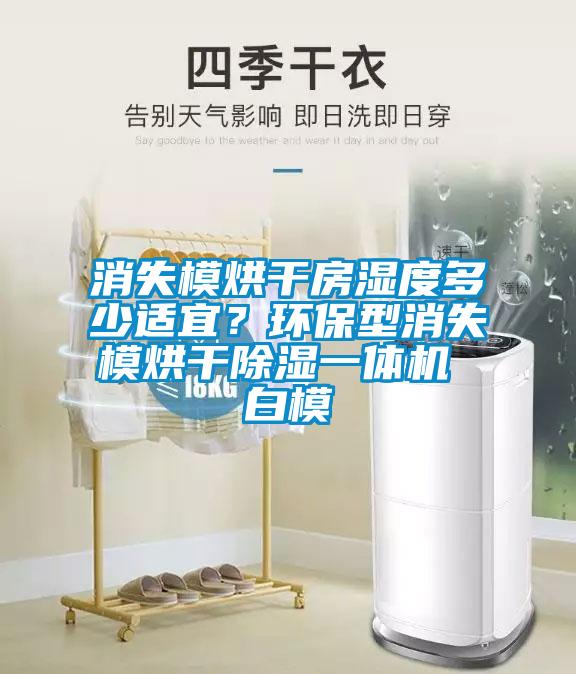 消失模烘干房濕度多少適宜?環保型消失模烘干除濕一體機 白模