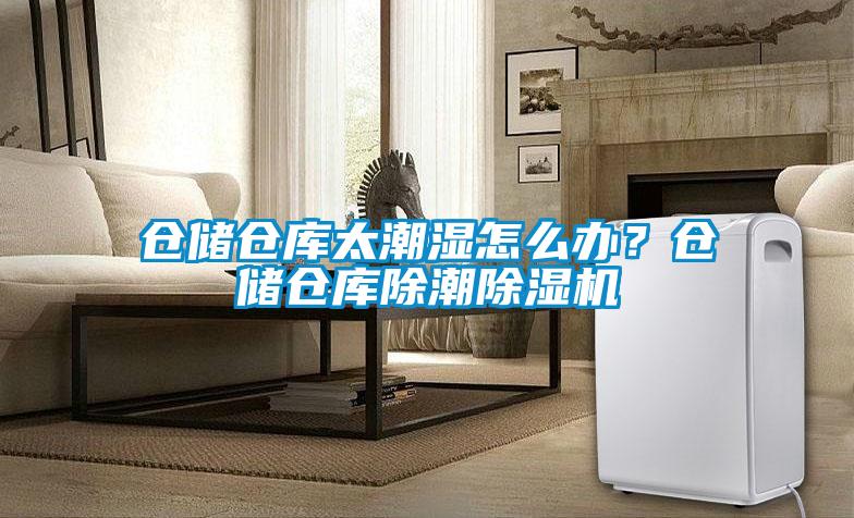 倉儲倉庫太潮濕怎么辦?倉儲倉庫除潮除濕機