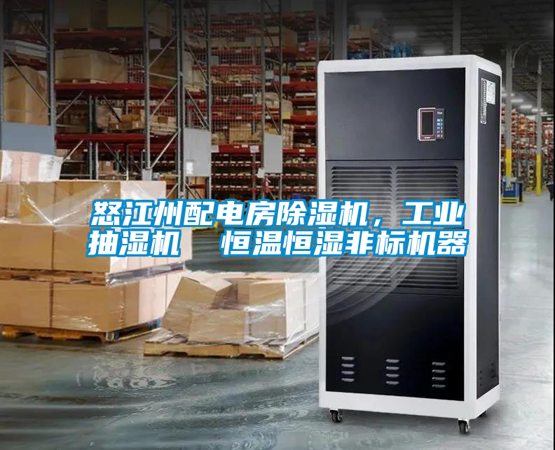 怒江州配電房除濕機,工業抽濕機  恒溫恒濕非標機器