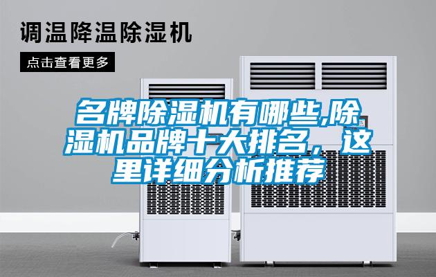 名牌除濕機有哪些,除濕機品牌十大排名,這里詳細分析推薦