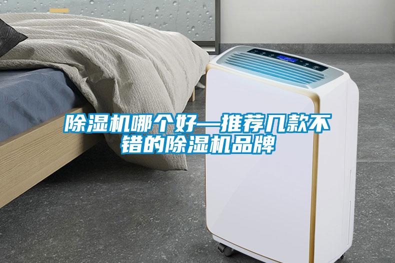 除濕機(jī)哪個(gè)好—推薦幾款不錯的除濕機(jī)品牌