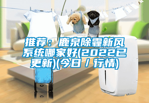 推薦:鹿泉除霾新風(fēng)系統(tǒng)哪家好(2022已更新)(今日/行情)