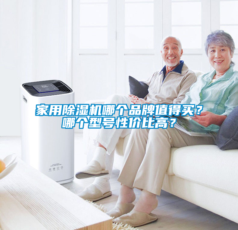 家用除濕機哪個品牌值得買?哪個型號性價比高?