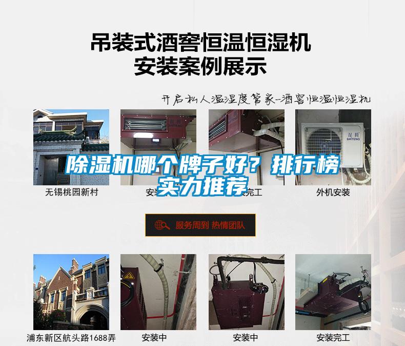 除濕機哪個牌子好?排行榜實力推薦