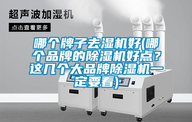 哪個牌子去濕機好(哪個品牌的除濕機好點?這幾個大品牌除濕機一定要看)