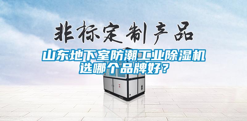山東地下室防潮工業除濕機選哪個品牌好?
