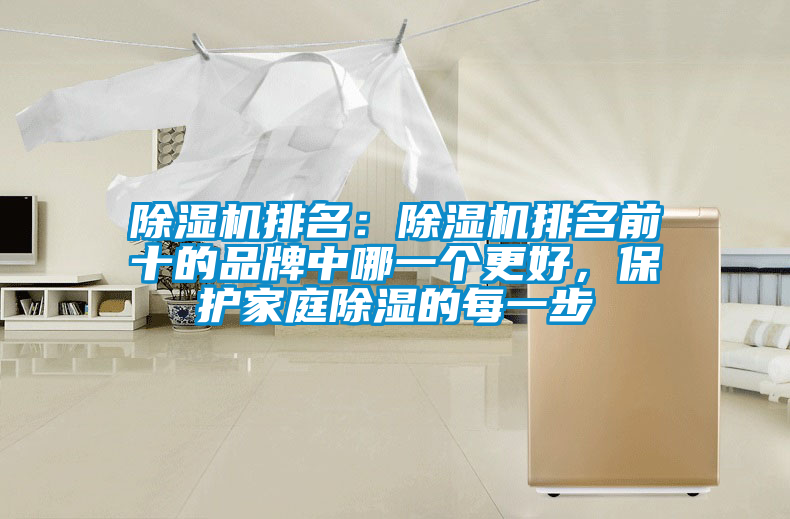 除濕機(jī)排名:除濕機(jī)排名前十的品牌中哪一個(gè)更好,保護(hù)家庭除濕的每一步