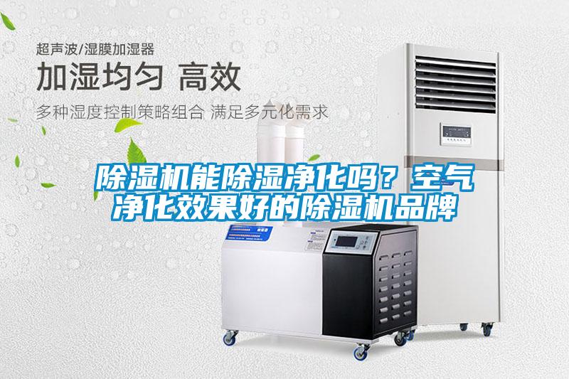除濕機能除濕凈化嗎？空氣凈化效果好的除濕機品牌