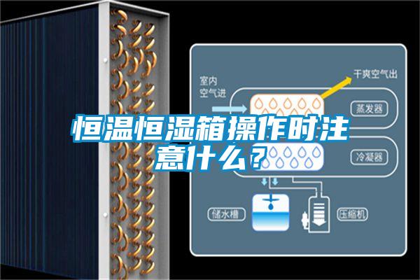 恒溫恒濕箱操作時注意什么?