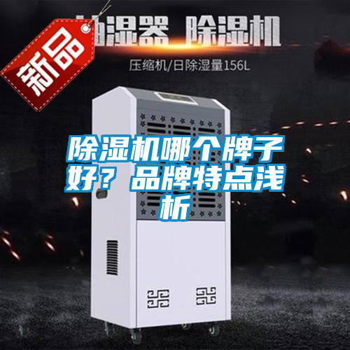 除濕機哪個牌子好?品牌特點淺析