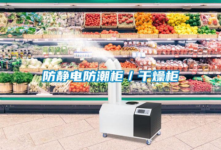 防靜電防潮柜/干燥柜