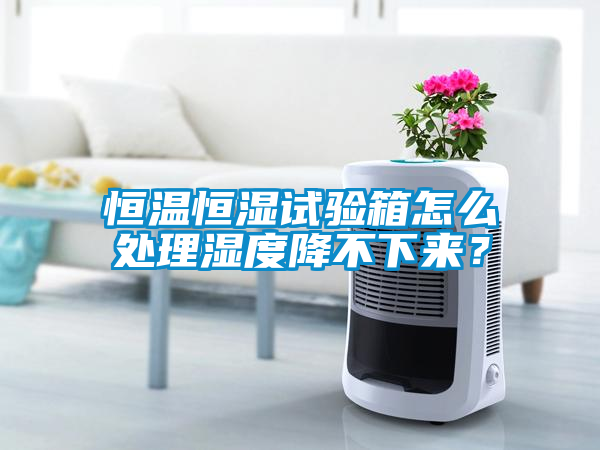 恒溫恒濕試驗箱怎么處理濕度降不下來?