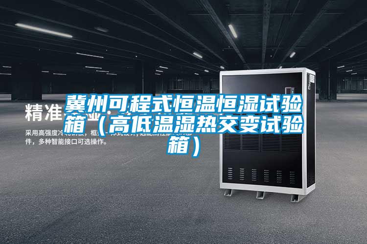 冀州可程式恒溫恒濕試驗箱(高低溫濕熱交變試驗箱)