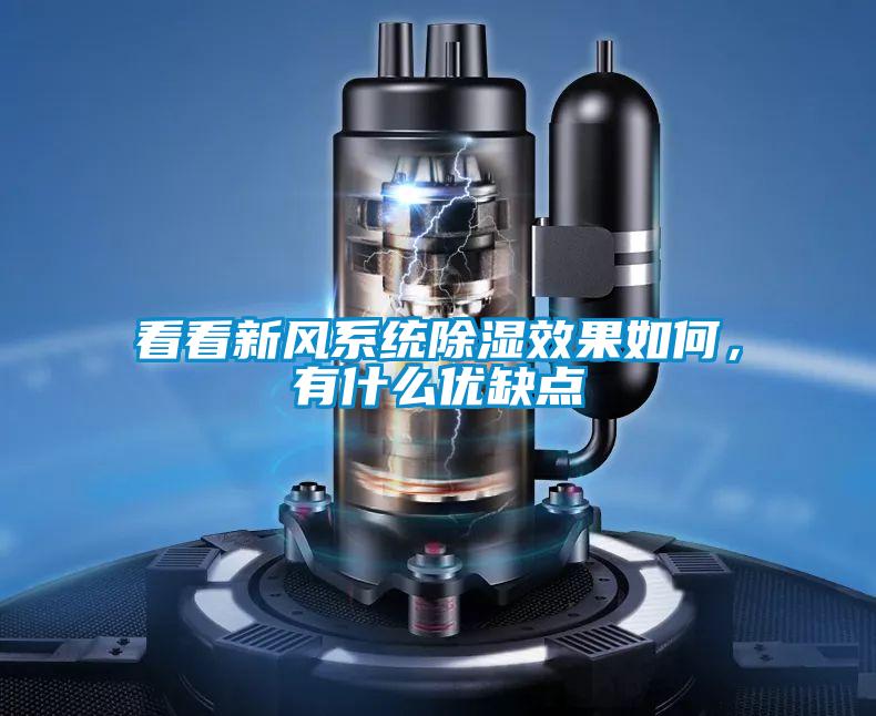 看看新風(fēng)系統(tǒng)除濕效果如何,有什么優(yōu)缺點(diǎn)