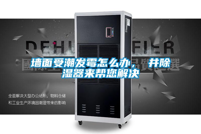 墻面受潮發(fā)霉怎么辦,東井除濕器來幫您解決
