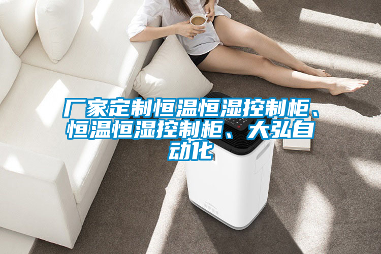 廠家定制恒溫恒濕控制柜、恒溫恒濕控制柜、大弘自動化