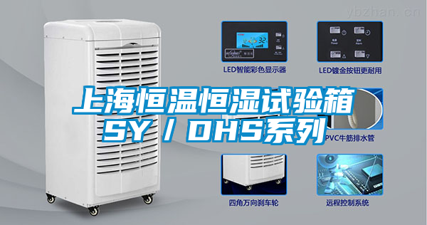 上海恒溫恒濕試驗(yàn)箱SY/DHS系列