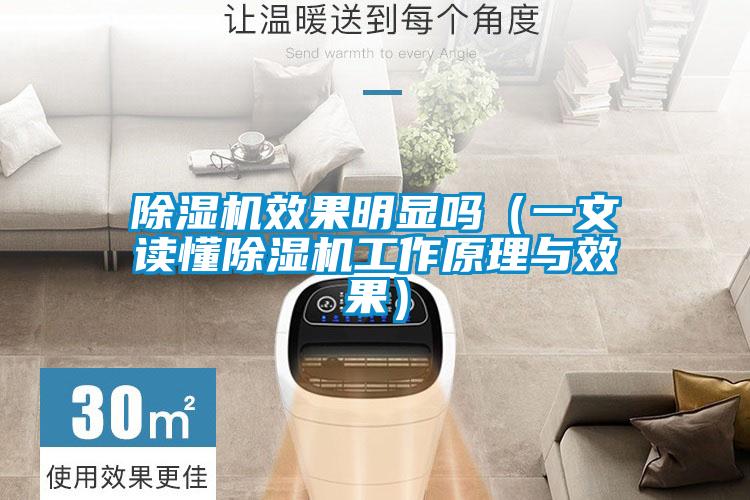 除濕機效果明顯嗎(一文讀懂除濕機工作原理與效果)