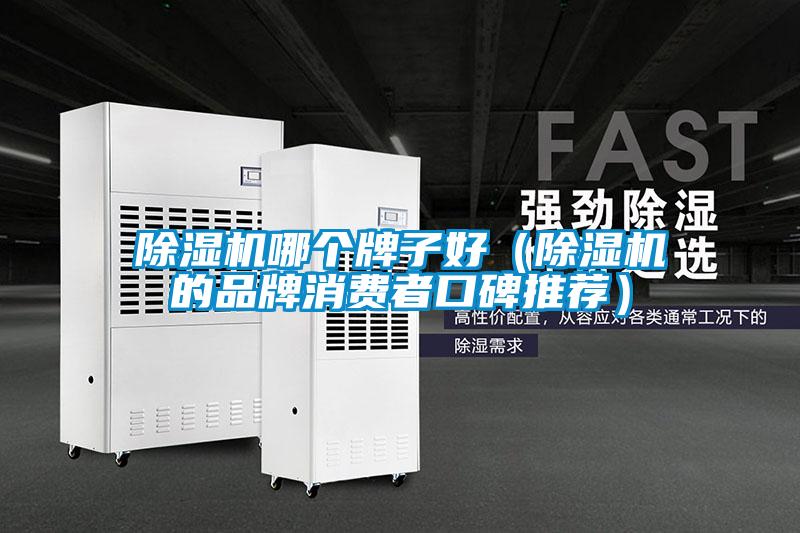 除濕機哪個牌子好(除濕機的品牌消費者口碑推薦)