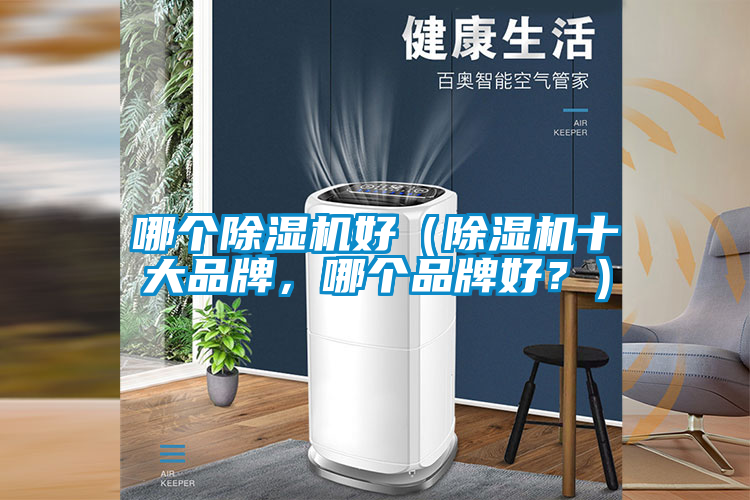 哪個除濕機好（除濕機十大品牌，哪個品牌好？）
