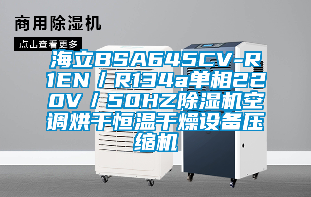海立BSA645CV-R1EN/R134a單相220V/50HZ除濕機空調烘干恒溫干燥設備壓縮機