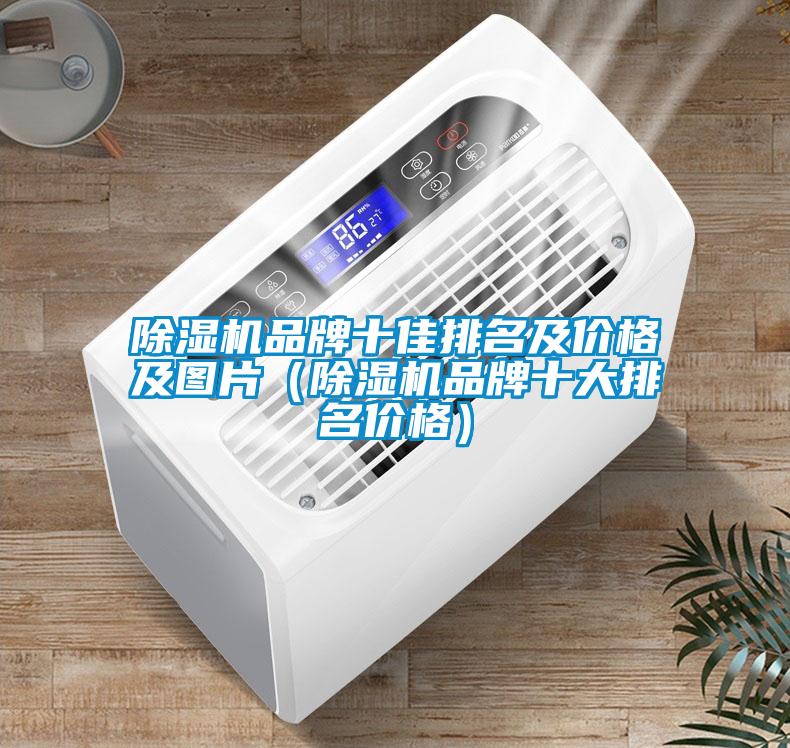 除濕機品牌十佳排名及價格及圖片(除濕機品牌十大排名價格)