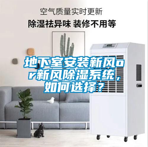 地下室安裝新風or新風除濕系統,如何選擇?