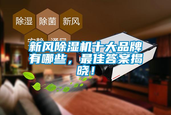 新風(fēng)除濕機(jī)十大品牌有哪些，最佳答案揭曉！