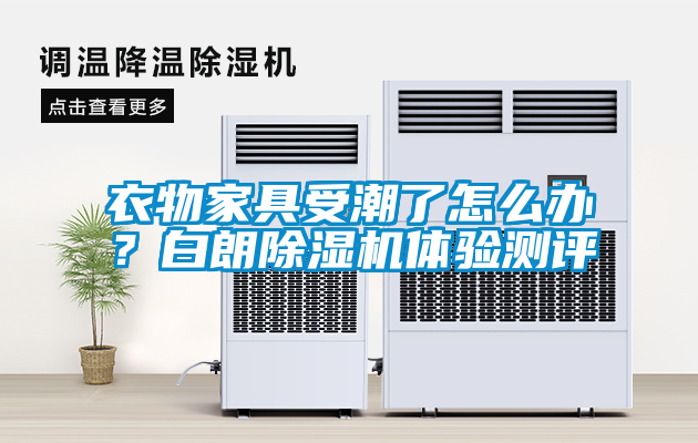 衣物家具受潮了怎么辦?白朗除濕機體驗測評