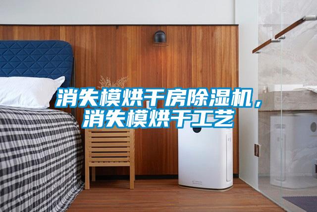 消失模烘干房除濕機,消失模烘干工藝