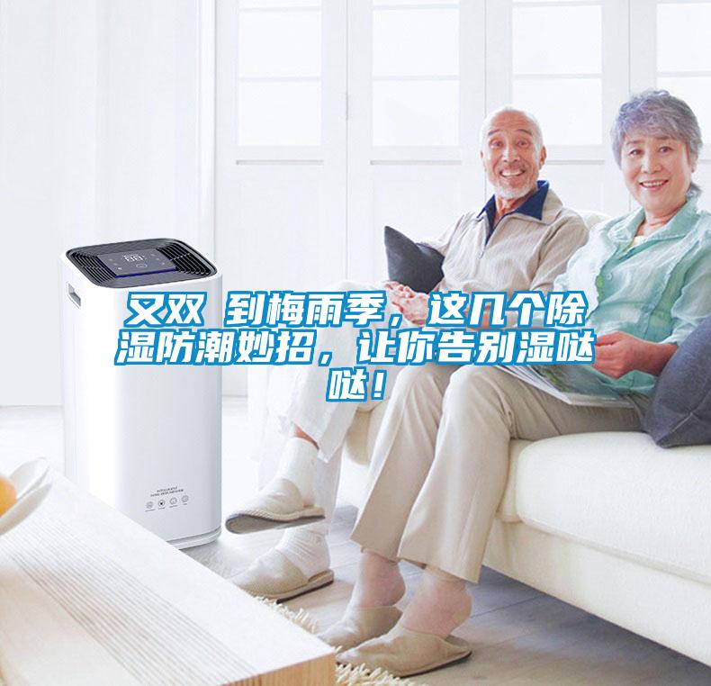 又雙叒到梅雨季，這幾個除濕防潮妙招，讓你告別濕噠噠！