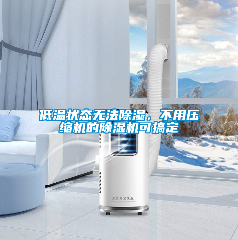 低溫狀態無法除濕,不用壓縮機的除濕機可搞定