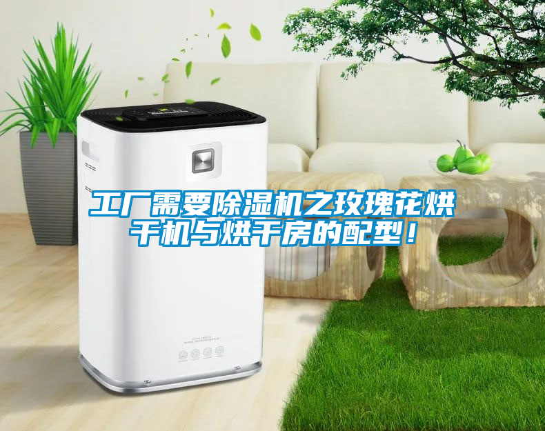 工廠需要除濕機之玫瑰花烘干機與烘干房的配型!