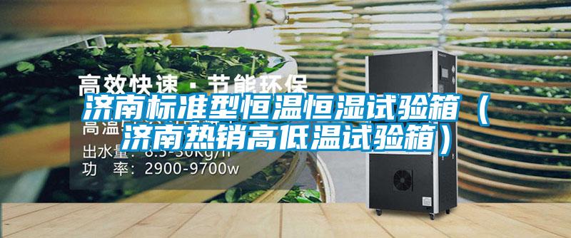 濟南標準型恒溫恒濕試驗箱(濟南熱銷高低溫試驗箱)