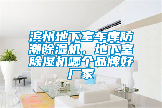 濱州地下室車庫防潮除濕機,地下室除濕機哪個品牌好廠家