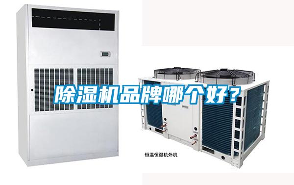 除濕機品牌哪個好?