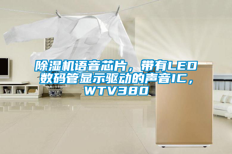 除濕機語音芯片,帶有LED數碼管顯示驅動的聲音IC,WTV380