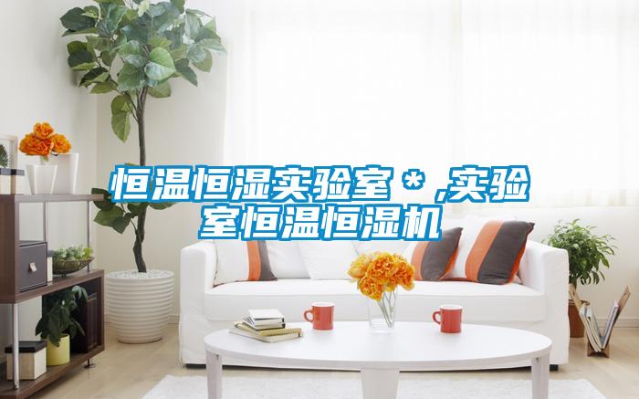 恒溫恒濕實驗室*,實驗室恒溫恒濕機