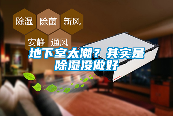 地下室太潮?其實是除濕沒做好