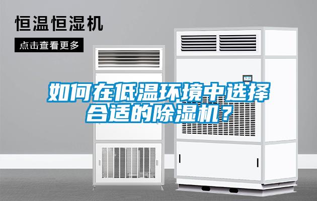 如何在低溫環境中選擇合適的除濕機?