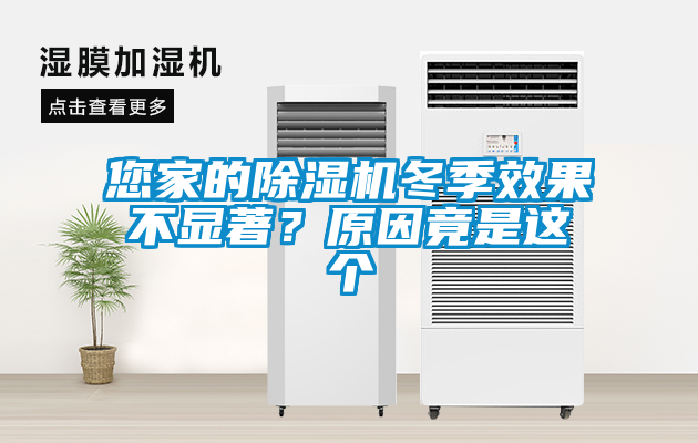 您家的除濕機冬季效果不顯著?原因竟是這個