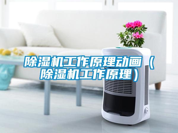 除濕機(jī)工作原理動畫(除濕機(jī)工作原理)