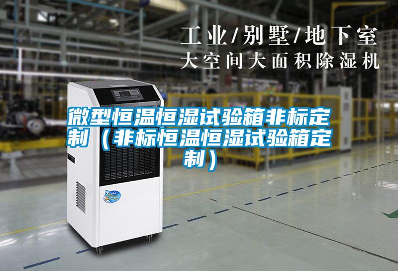 微型恒溫恒濕試驗箱非標定制(非標恒溫恒濕試驗箱定制)