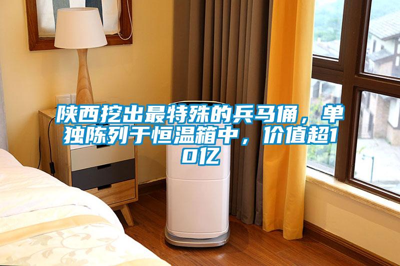 陜西挖出最特殊的兵馬俑,單獨陳列于恒溫箱中,價值超10億