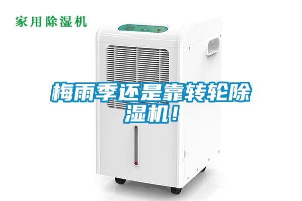 梅雨季還是靠轉輪除濕機!