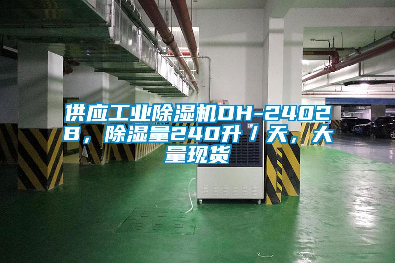 供應(yīng)工業(yè)除濕機(jī)DH-2402B,除濕量240升/天,大量現(xiàn)貨